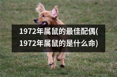 <h3>1972年属鼠的最佳配偶(1972年属鼠的是什么命)