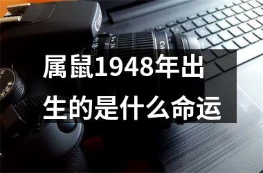 属鼠1948年出生的是什么命运