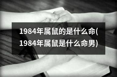 1984年属鼠的是什么命(1984年属鼠是什么命男)