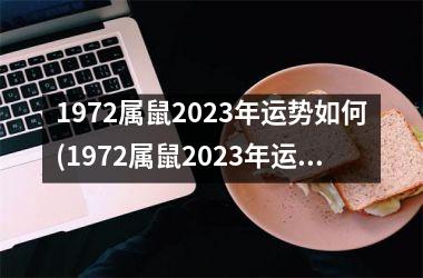 1972属鼠2025年运势如何(1972属鼠2025年运势及运程)