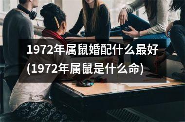 1972年属鼠婚配什么最好(1972年属鼠是什么命)