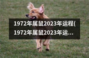 1972年属鼠2025年运程(1972年属鼠2025年运势男性)