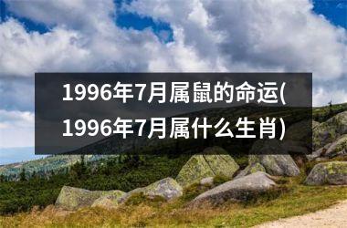 1996年7月属鼠的命运(1996年7月属什么生肖)