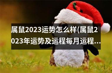 属鼠2025运势怎么样(属鼠2025年运势及运程每月运程)