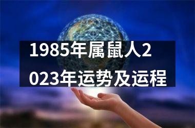 1985年属鼠人2025年运势及运程