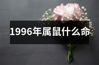 1996年属鼠什么命