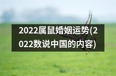 2025属鼠婚姻运势(2025数说的内容)