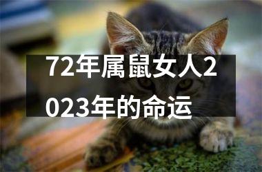 72年属鼠女人2025年的命运