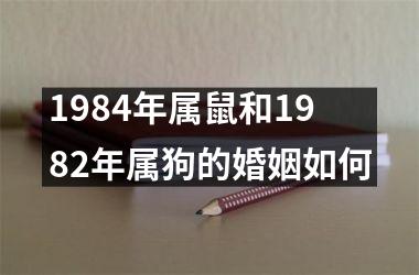 1984年属鼠和1982年属狗的婚姻如何