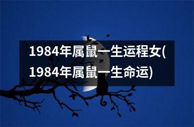 1984年属鼠一生运程女(1984年属鼠一生命运)