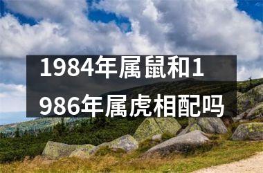 1984年属鼠和1986年属虎相配吗