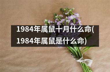 1984年属鼠十月什么命(1984年属鼠是什么命)