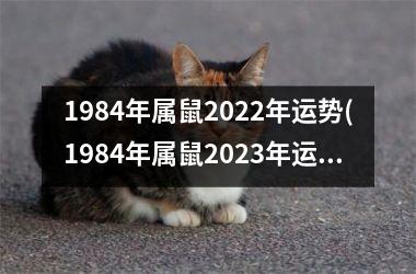 1984年属鼠2022年运势(1984年属鼠2023年运势)