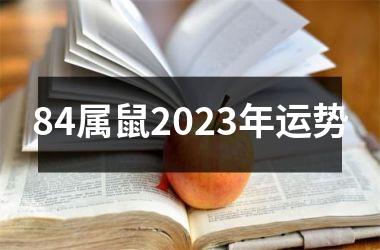 84属鼠2025年运势