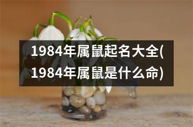 1984年属鼠起名大全(1984年属鼠是什么命)