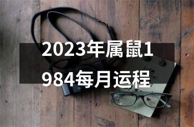 2025年属鼠1984每月运程