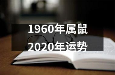 1960年属鼠2025年运势