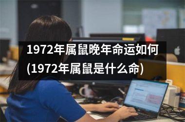 1972年属鼠晚年命运如何(1972年属鼠是什么命)