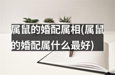 <h3>属鼠的婚配属相(属鼠的婚配属什么最好)