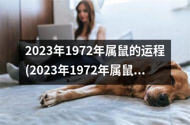 2025年1972年属鼠的运程(2025年1972年属鼠人的全年运势男性)