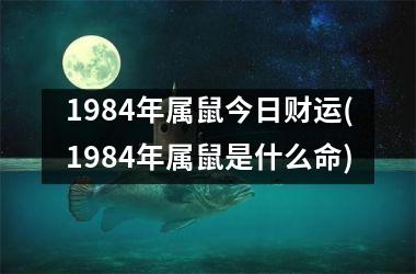 1984年属鼠今日财运(1984年属鼠是什么命)