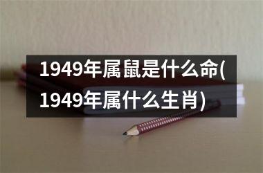 1949年属鼠是什么命(1949年属什么生肖)