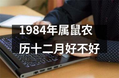 1984年属鼠农历十二月好不好