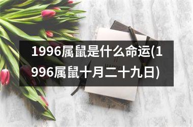 1996属鼠是什么命运(1996属鼠十月二十九日)