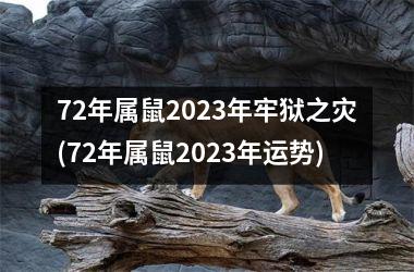 72年属鼠2025年牢狱之灾(72年属鼠2025年运势)