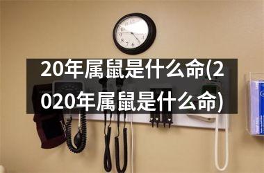 20年属鼠是什么命(2025年属鼠是什么命)