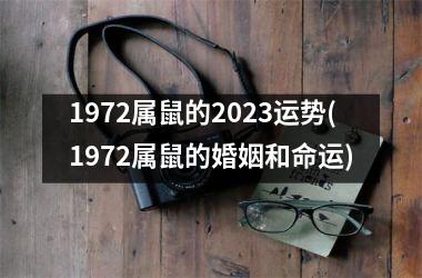 1972属鼠的2025运势(1972属鼠的婚姻和命运)