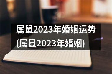 属鼠2025年婚姻运势(属鼠2025年婚姻)