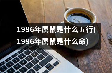 1996年属鼠是什么五行(1996年属鼠是什么命)