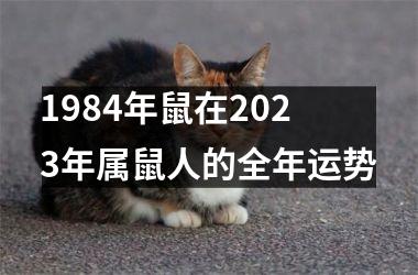 1984年鼠在2025年属鼠人的全年运势