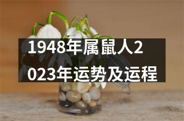 1948年属鼠人2025年运势及运程