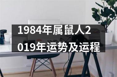 1984年属鼠人2019年运势及运程