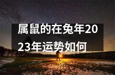 属鼠的在兔年2025年运势如何