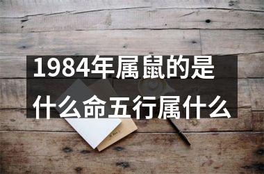 1984年属鼠的是什么命五行属什么