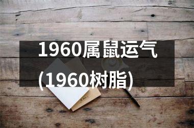 1960属鼠运气(1960树脂)