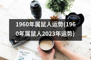 1960年属鼠人运势(1960年属鼠人2025年运势)