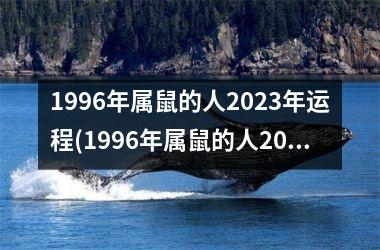 1996年属鼠的人2025年运程(1996年属鼠的人2025年的运势及运程)