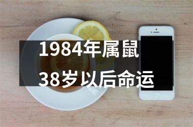 1984年属鼠38岁以后命运