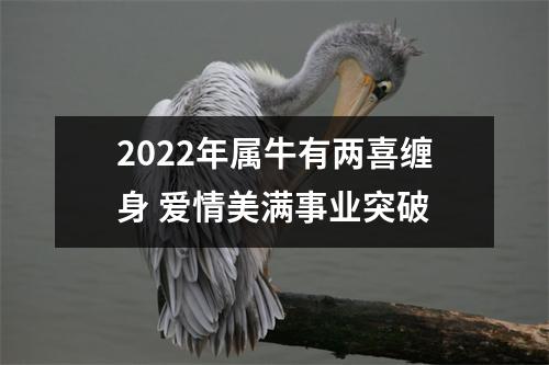 <h3>2025年属牛有两喜缠身爱情美满事业突破