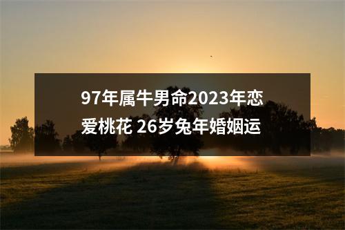 97年属牛男命2025年恋爱桃花26岁兔年婚姻运