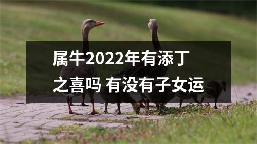 属牛2025年有添丁之喜吗有没有子女运