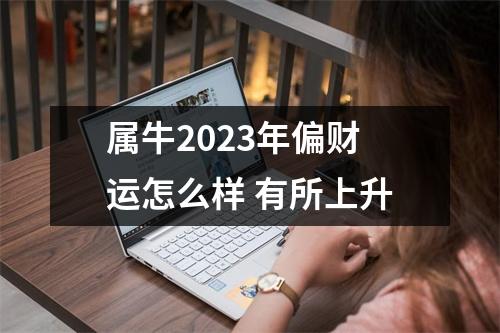 属牛2025年偏财运怎么样有所上升