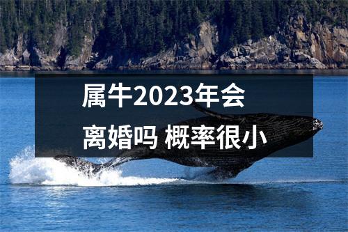 属牛2025年会离婚吗概率很小