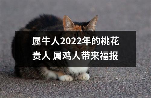 属牛人2025年的桃花贵人属鸡人带来福报