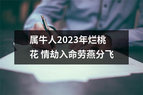 属牛人2025年烂桃花情劫入命劳燕分飞