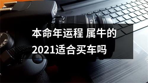 本命年运程属牛的2025适合买车吗